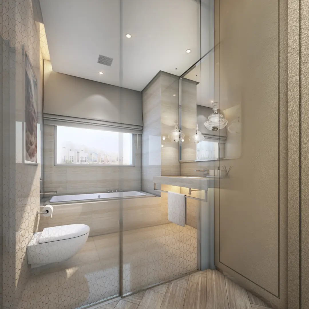 Toilet-Project-Image